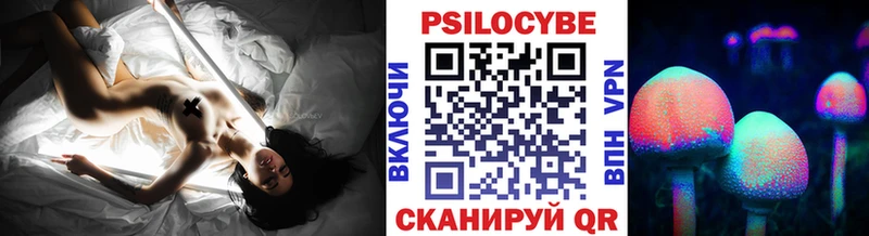 Псилоцибиновые грибы Psilocybe  где продают   Лакинск 